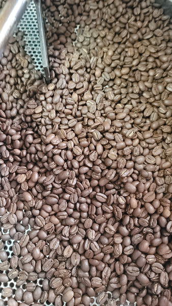 Colombia Sierra Nevada Asobiopaz Organic EP