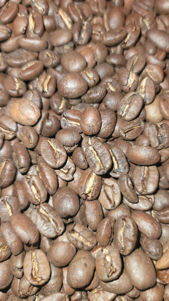 Guatemala La Morena Cubulco SHB